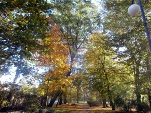 Wielkopolska jesień