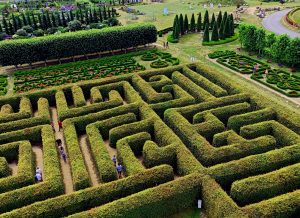 Labirynt w Dobrzycy – zgubić się i odnaleźć