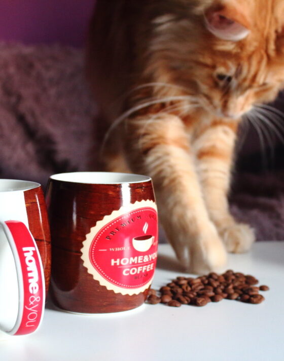 Kubkowe love – nowe w domu