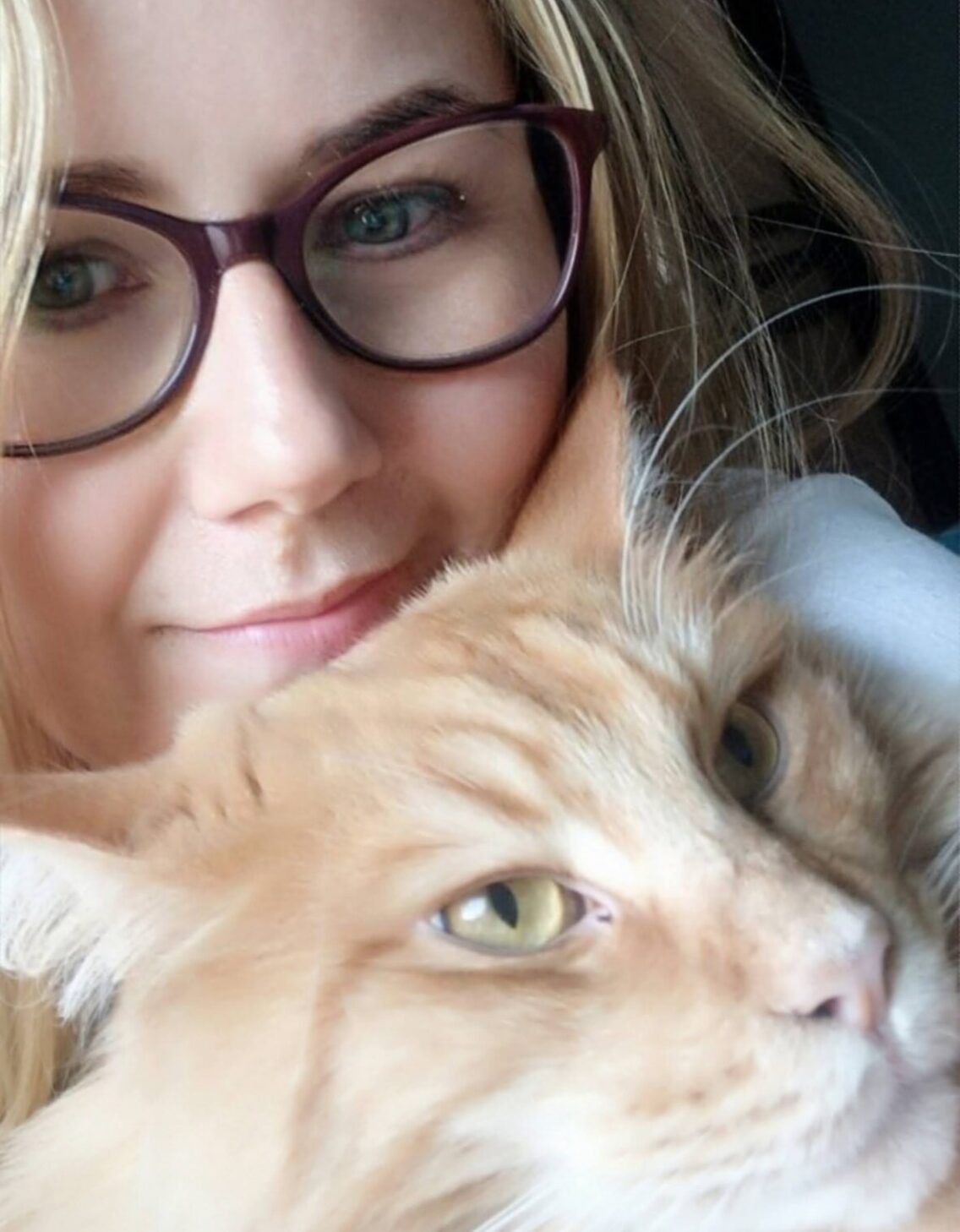 Maine Coon – kompromis między psem a kotem