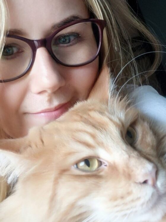 Maine Coon – kompromis między psem a kotem